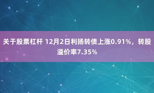 关于股票杠杆 12月2日利扬转债上涨0.91%，转股溢价率7.35%