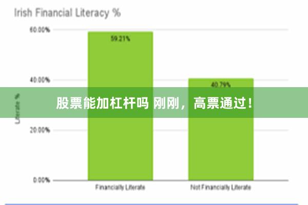 股票能加杠杆吗 刚刚，高票通过！