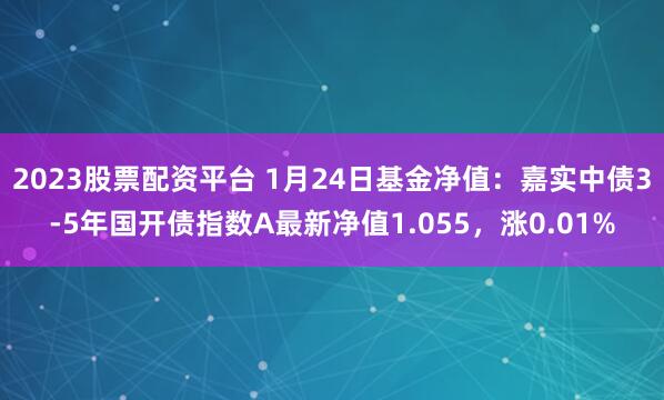 2023股票配资平台 1月24日基金净值：嘉实中债3-5年国开债指数A最新净值1.055，涨0.01%